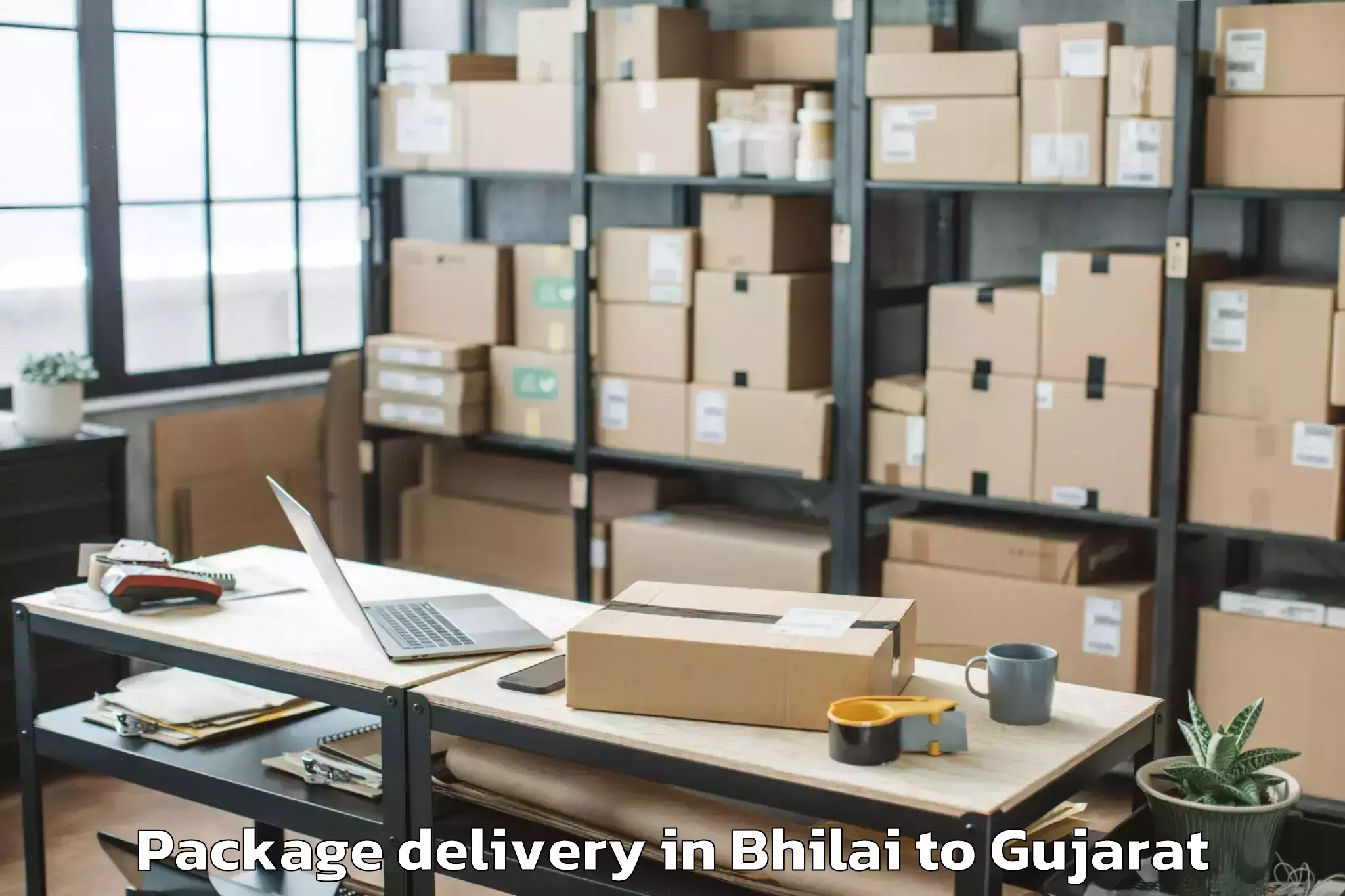 Book Bhilai to Jhagadia Package Delivery Online